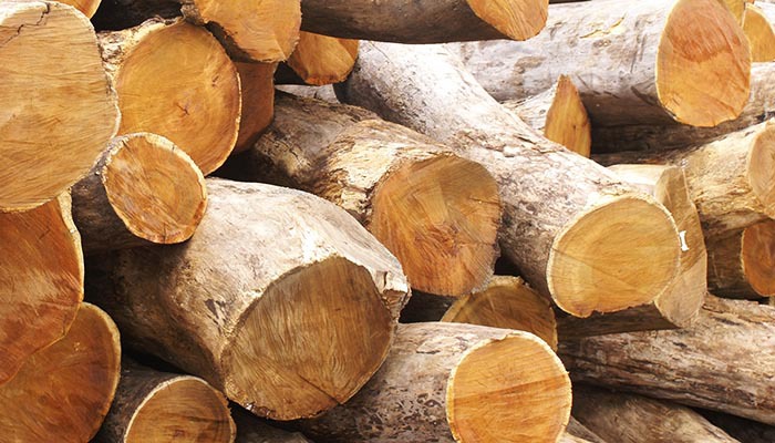 Wood Hardness Scale Acacia
